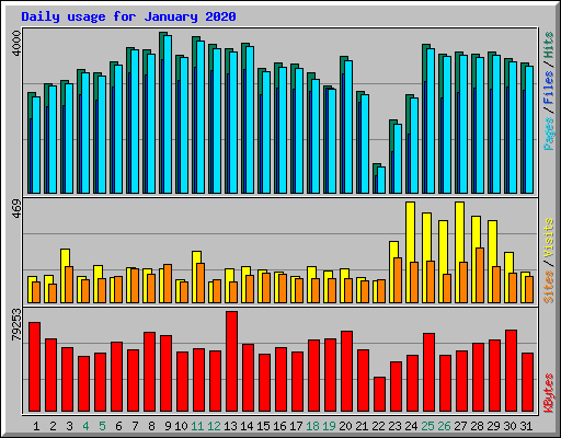 Daily usage for January 2020