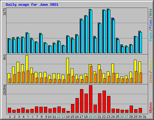 Daily usage for June 2021