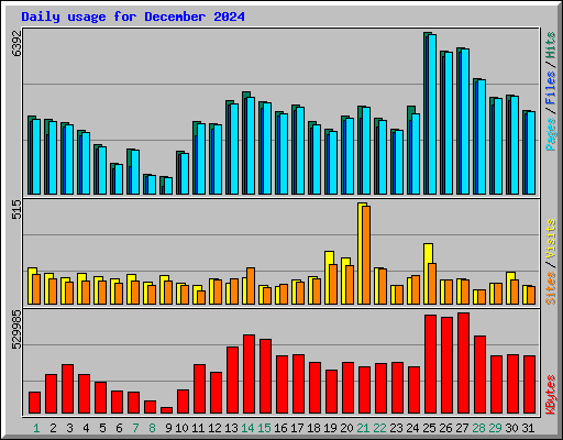 Daily usage for December 2024