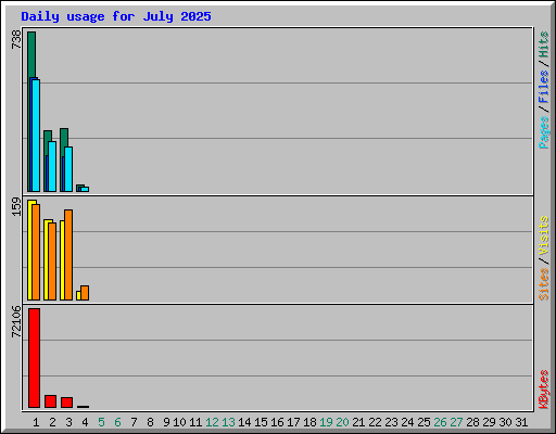 Daily usage for July 2025