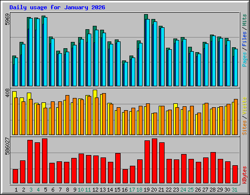 Daily usage for January 2026