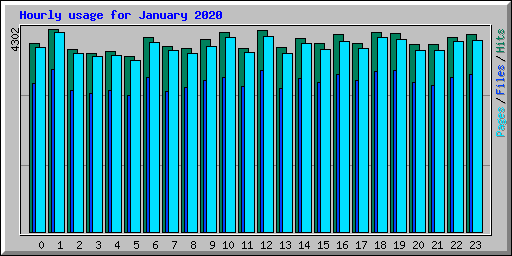 Hourly usage for January 2020