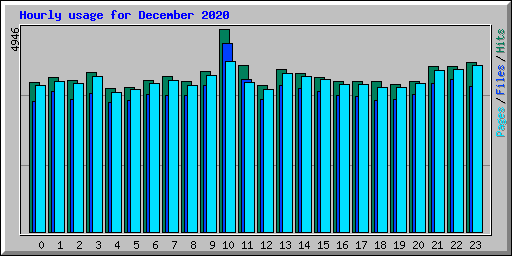 Hourly usage for December 2020