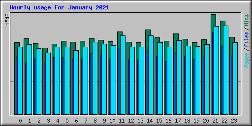 Hourly usage for January 2021