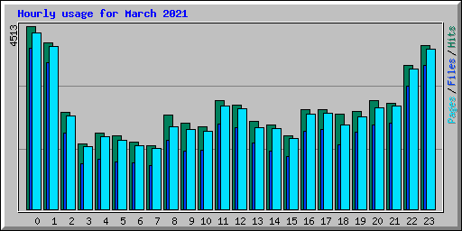 Hourly usage for March 2021