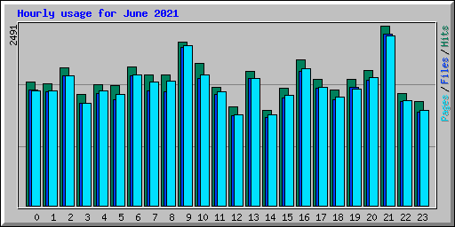 Hourly usage for June 2021