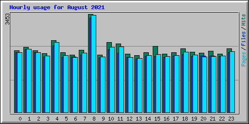 Hourly usage for August 2021