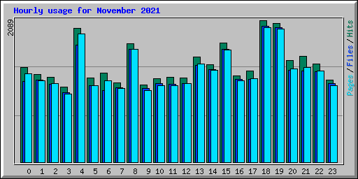 Hourly usage for November 2021