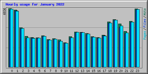 Hourly usage for January 2022