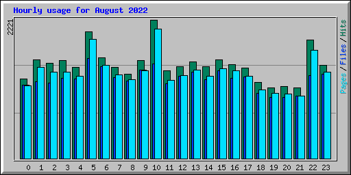 Hourly usage for August 2022