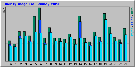 Hourly usage for January 2023