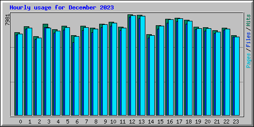 Hourly usage for December 2023