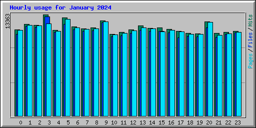 Hourly usage for January 2024