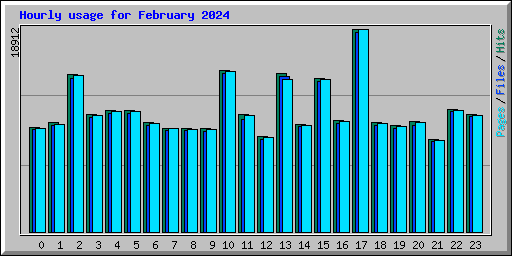 Hourly usage for February 2024