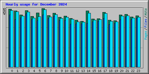 Hourly usage for December 2024