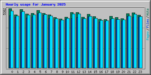 Hourly usage for January 2025