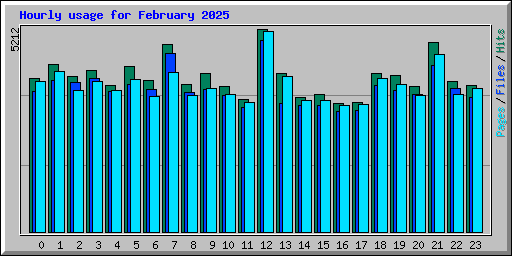 Hourly usage for February 2025
