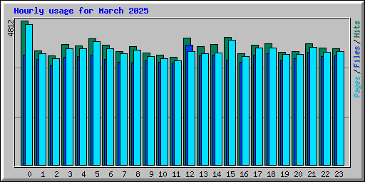 Hourly usage for March 2025