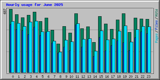 Hourly usage for June 2025