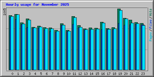 Hourly usage for November 2025