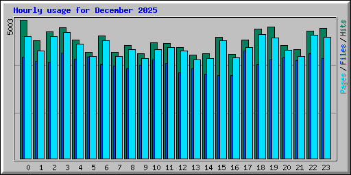 Hourly usage for December 2025