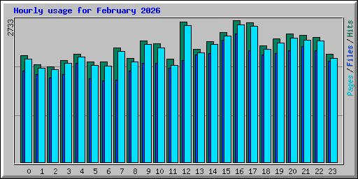 Hourly usage for February 2026